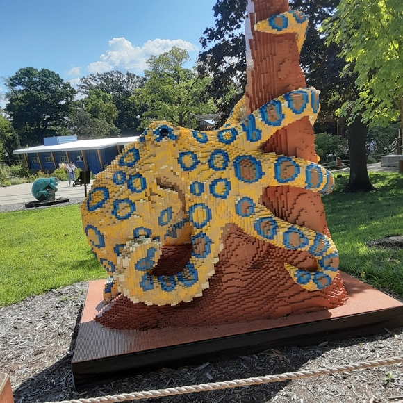 Under armor, American eagle,Nike,No boundaries, athletic/workout clothes,Polo, - Picture 2 of 3